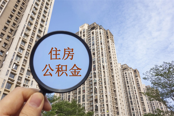 项城离职后公司不给转公积金怎么办（离职后公司不给转社保怎么办）